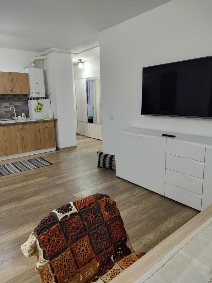 Casa Ioana Apartment Targu Mures Ngoại thất bức ảnh