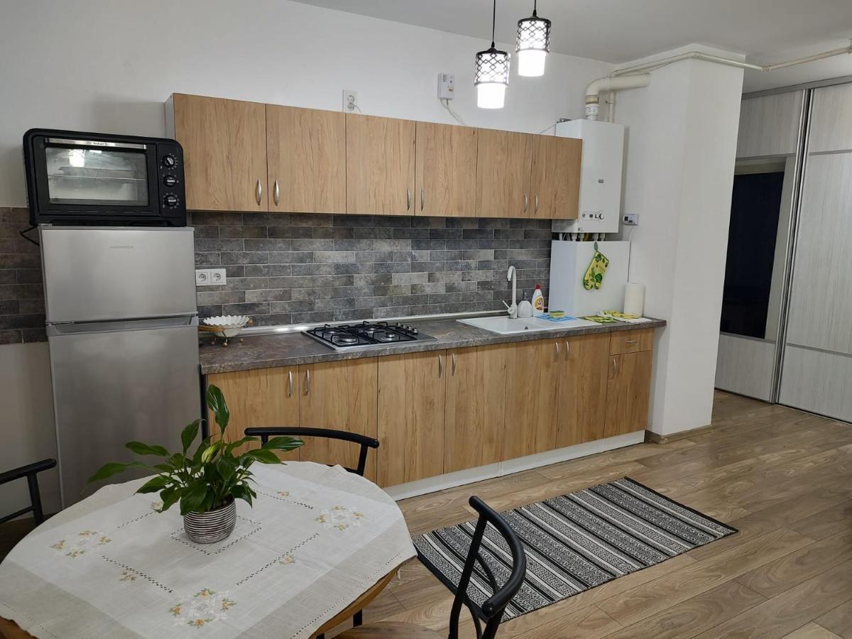 Casa Ioana Apartment Targu Mures Ngoại thất bức ảnh