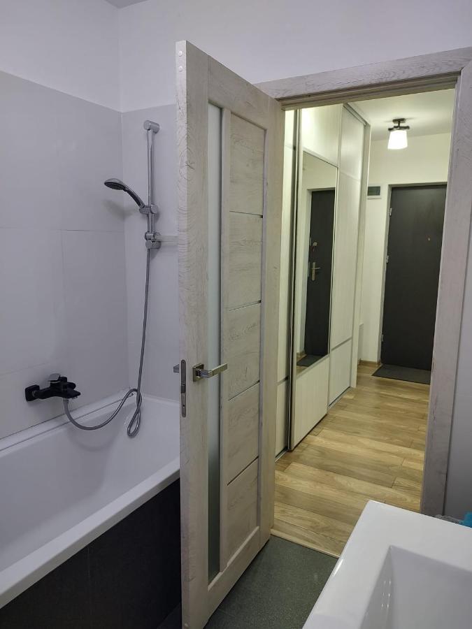 Casa Ioana Apartment Targu Mures Ngoại thất bức ảnh