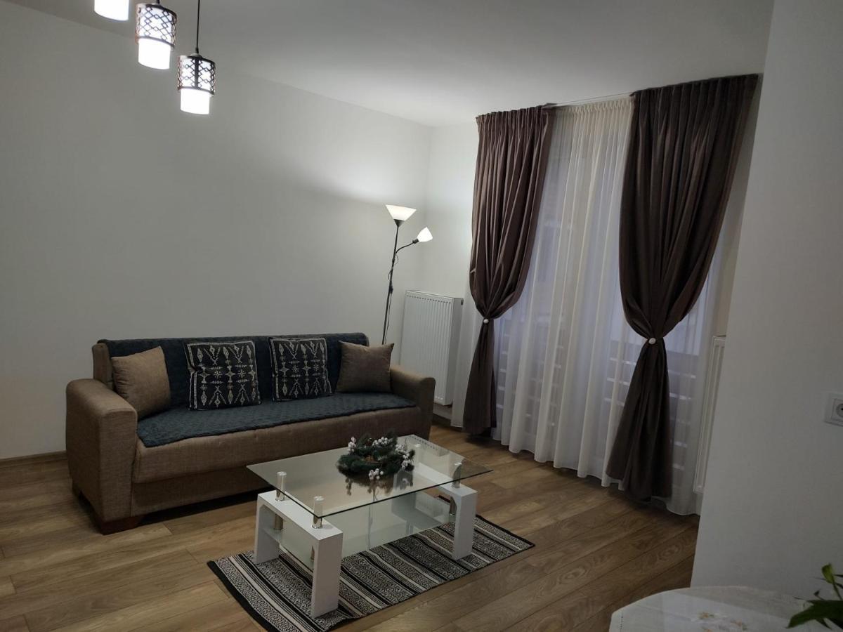 Casa Ioana Apartment Targu Mures Ngoại thất bức ảnh