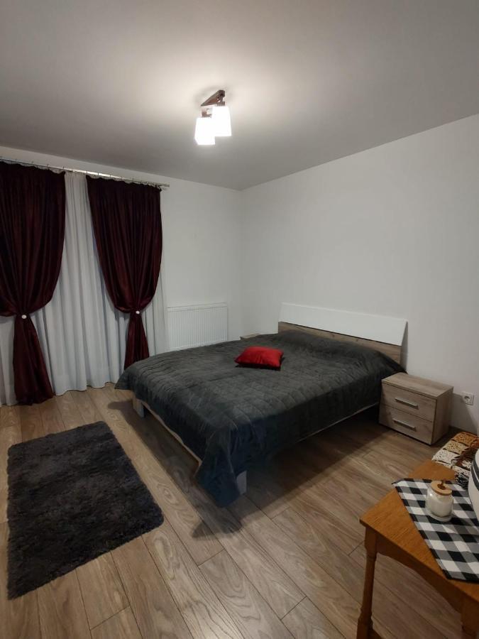 Casa Ioana Apartment Targu Mures Ngoại thất bức ảnh
