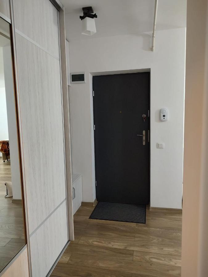 Casa Ioana Apartment Targu Mures Ngoại thất bức ảnh