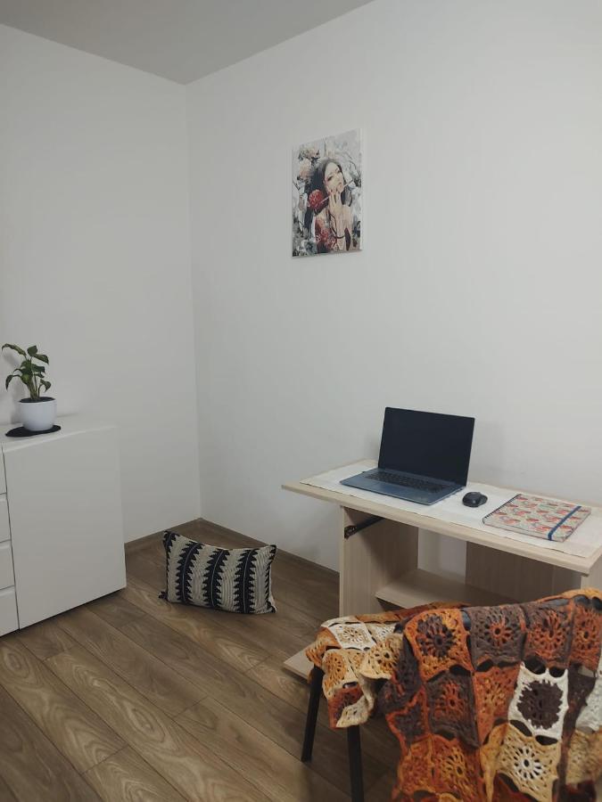 Casa Ioana Apartment Targu Mures Ngoại thất bức ảnh