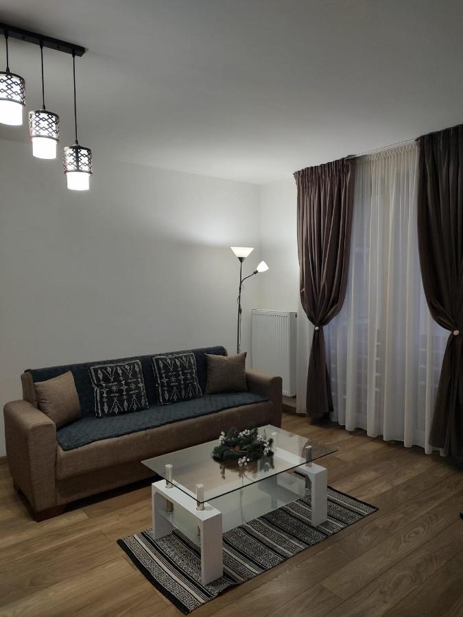 Casa Ioana Apartment Targu Mures Ngoại thất bức ảnh